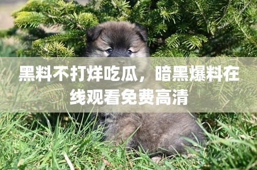 黑料不打烊吃瓜，暗黑爆料在线观看免费高清