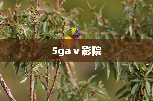 5gaⅴ影院