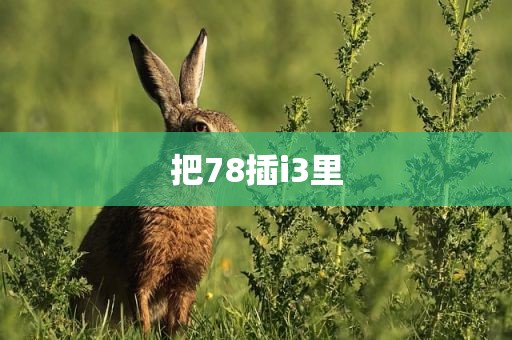 把78插i3里