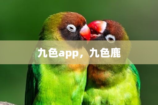 九色app，九色鹿