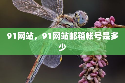 91网站，91网站邮箱帐号是多少