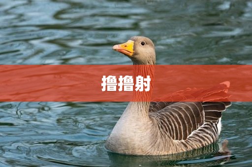 撸撸射