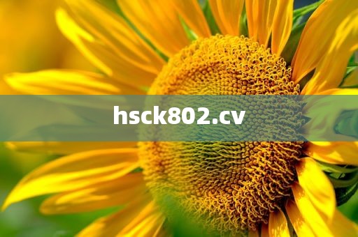 hsck802.cv