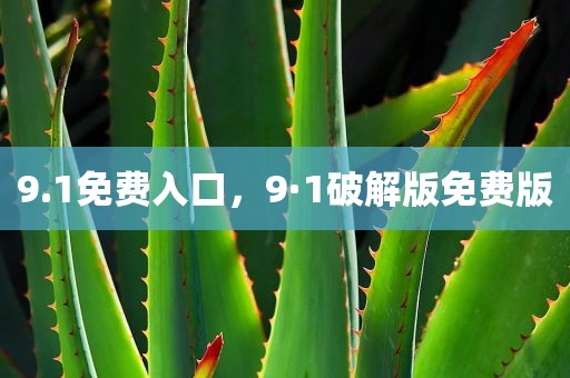 9.1免费入口，9·1破解版免费版