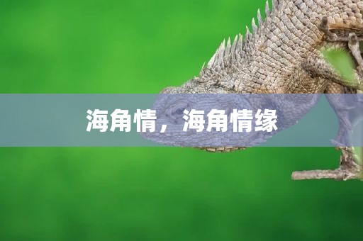 海角情，海角情缘
