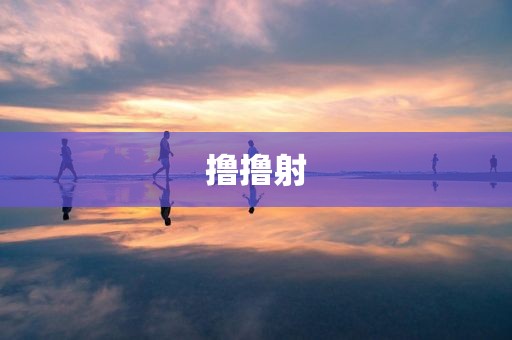 撸撸射