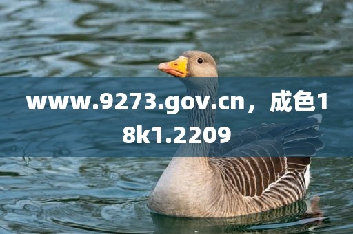 www.9273.gov.cn，成色18k1.2209