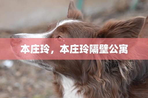 本庄玲，本庄玲隔壁公寓