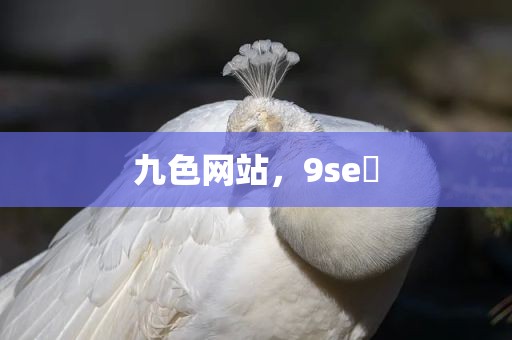 九色网站，9se 