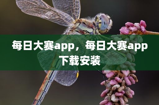 每日大赛app，每日大赛app下载安装