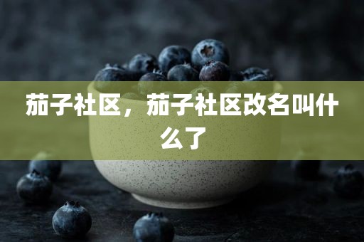 茄子社区，茄子社区改名叫什么了