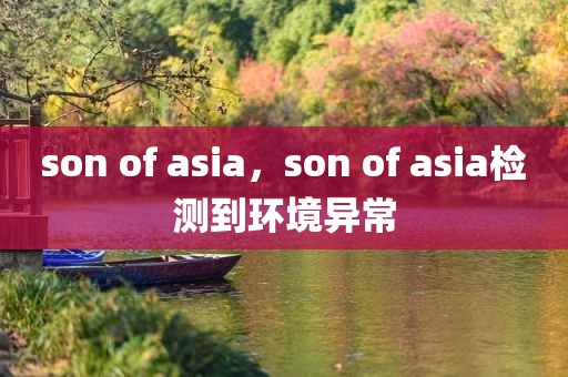 son of asia，son of asia检测到环境异常