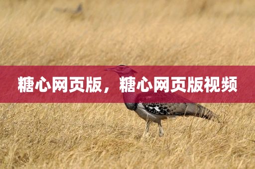 糖心网页版，糖心网页版视频