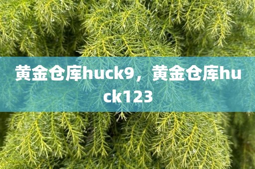 黄金仓库huck9，黄金仓库huck123