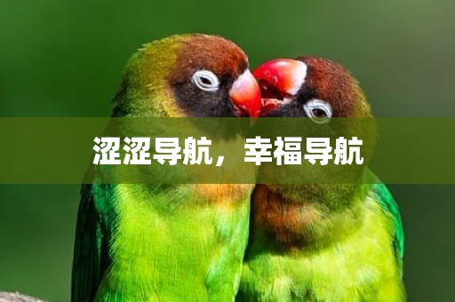 涩涩导航，幸福导航