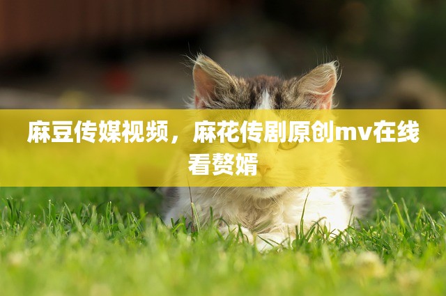 麻豆传媒视频，麻花传剧原创mv在线看赘婿