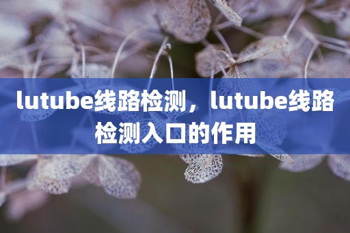 lutube线路检测，lutube线路检测入口的作用