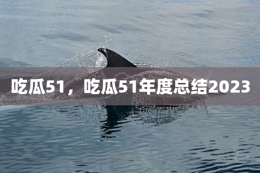 吃瓜51，吃瓜51年度总结2023