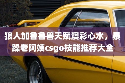 狼人加鲁鲁兽天赋澳彩心水，暴躁老阿姨csgo技能推荐大全
