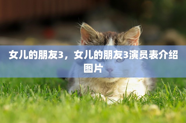女儿的朋友3，女儿的朋友3演员表介绍图片
