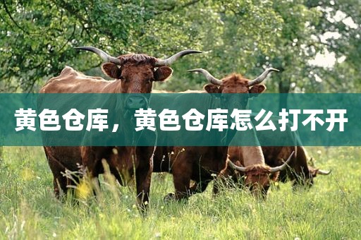 黄色仓库，黄色仓库怎么打不开