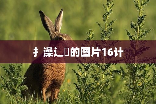 扌澡辶畐的图片16计