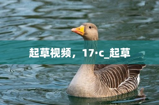 起草视频，17·c_起草