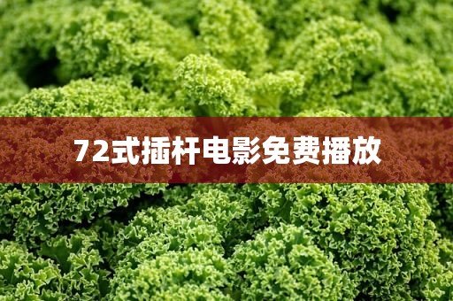 72式插杆电影免费播放