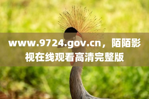 www.9724.gov.cn，陌陌影视在线观看高清完整版