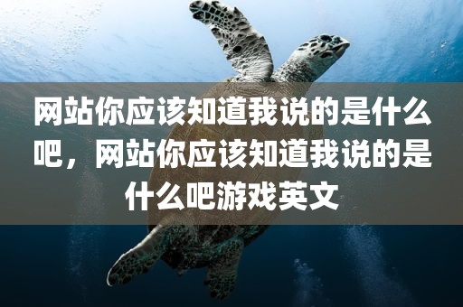 网站你应该知道我说的是什么吧，网站你应该知道我说的是什么吧游戏英文