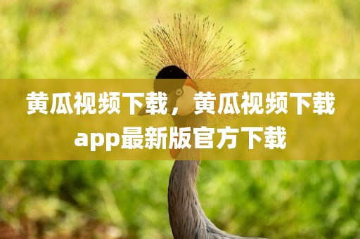 黄瓜视频下载，黄瓜视频下载app最新版官方下载