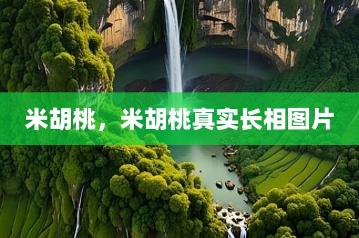 米胡桃，米胡桃真实长相图片