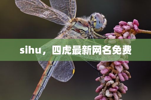 sihu，四虎最新网名免费