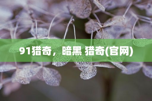 91猎奇，暗黑 猎奇(官网)