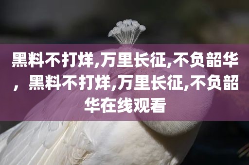 黑料不打烊,万里长征,不负韶华，黑料不打烊,万里长征,不负韶华在线观看