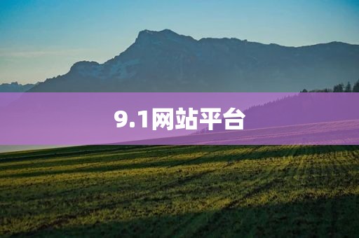 9.1网站平台