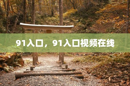 91入口，91入口视频在线
