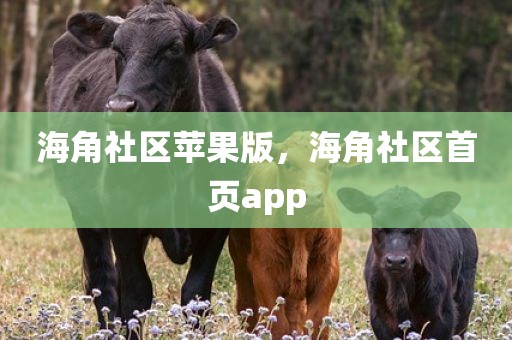 海角社区苹果版，海角社区首页app