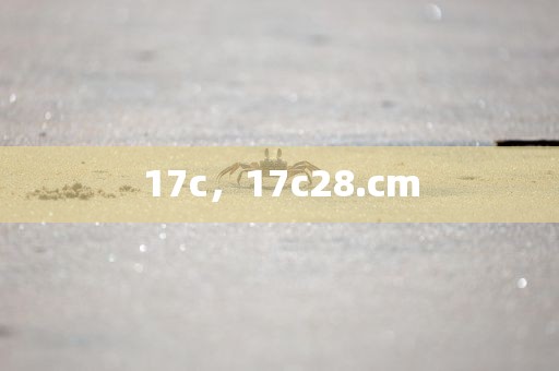 17c，17c28.cm
