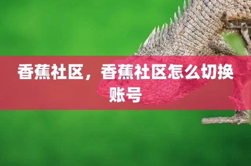 香蕉社区，香蕉社区怎么切换账号