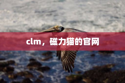clm，磁力猫的官网