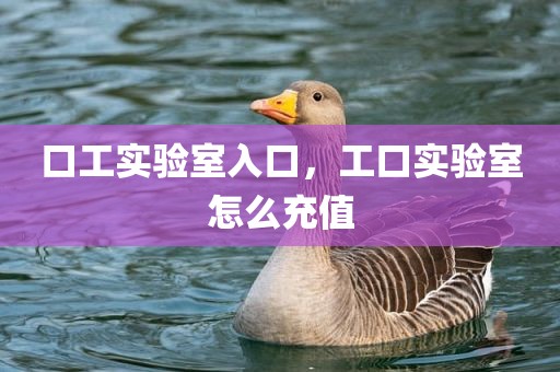 口工实验室入口，工口实验室怎么充值