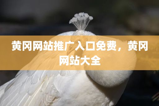 黄冈网站推广入口免费，黄冈网站大全