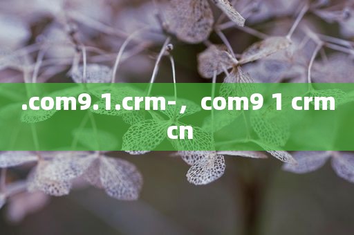 .com9.1.crm-，com9 1 crm cn