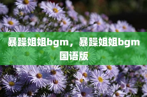 暴躁姐姐bgm，暴躁姐姐bgm国语版