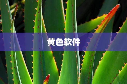 黄色软件