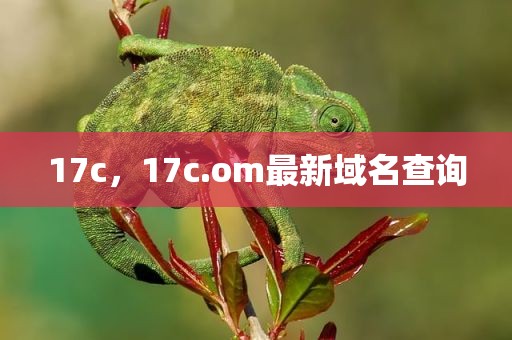 17c，17c.om最新域名查询