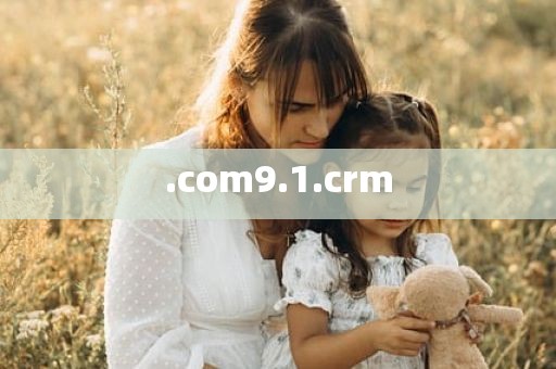 .com9.1.crm