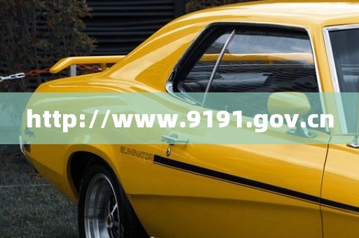 http://www.9191.gov.cn