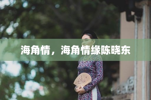 海角情，海角情缘陈晓东